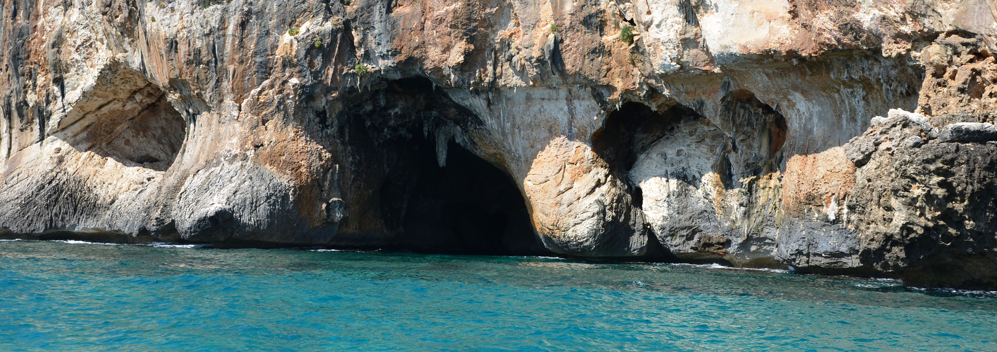 lebenselixier - blaue zone slider